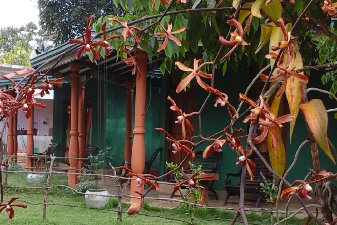 Sigiriya Melrose Villas Ngoại thất bức ảnh